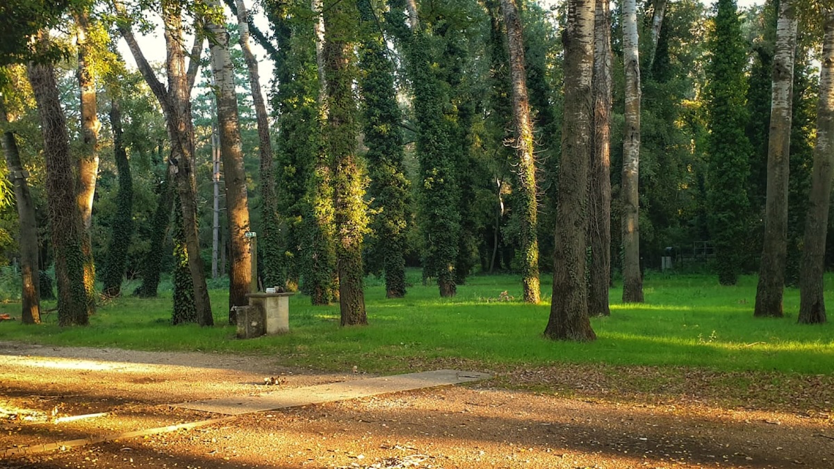 VUE 2 PARC